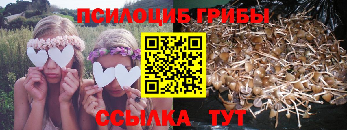 Галлюциногенные грибы Cubensis Нижний Тагил