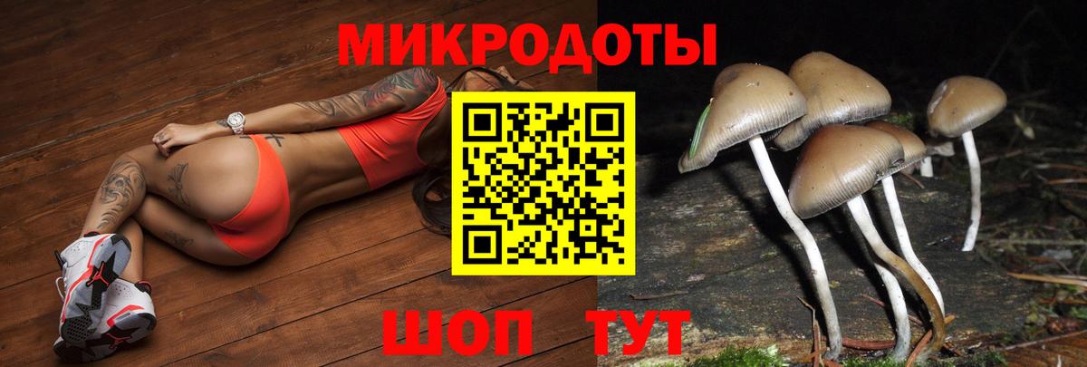 Нижний Тагил  Галлюциногенные грибы мухоморы  Псилоцибиновые грибы GOLDEN TEACHER  Вход с VPN 